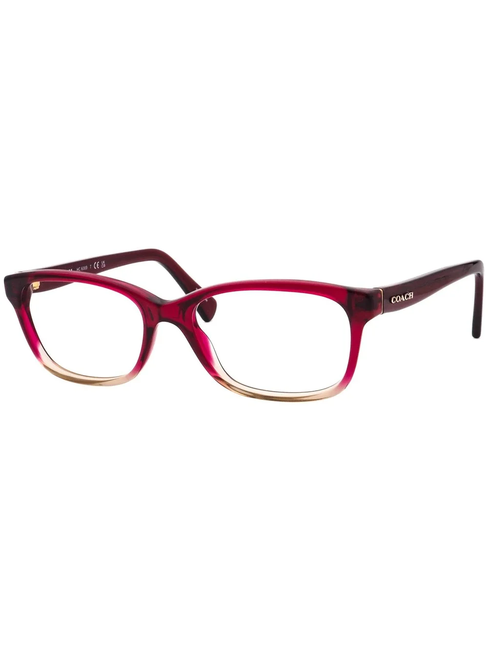 Coach HC 6089 5484 Eyewear